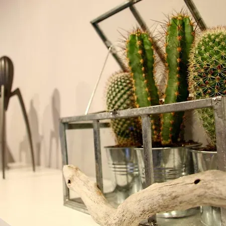 Appartamento Casa Anna *